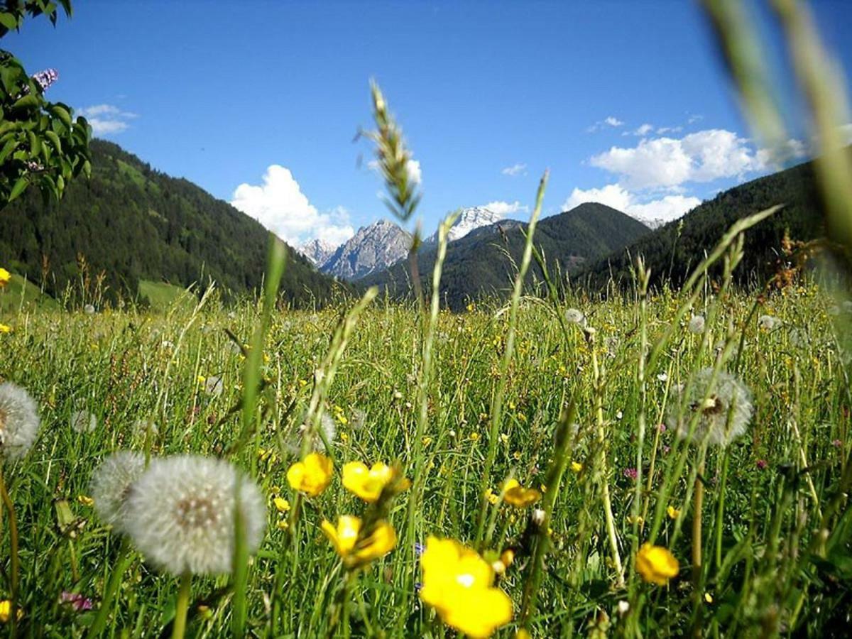 Flatscherhof San Lorenzo di Sebato Bagian luar foto